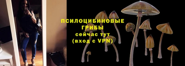 меф Бородино