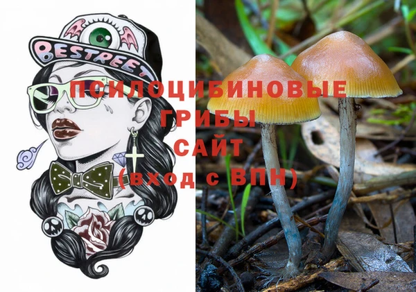 дживик Бугульма